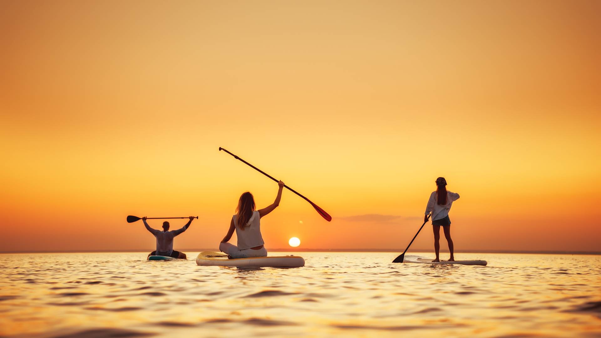 People paddleboarding in ocean at sunset