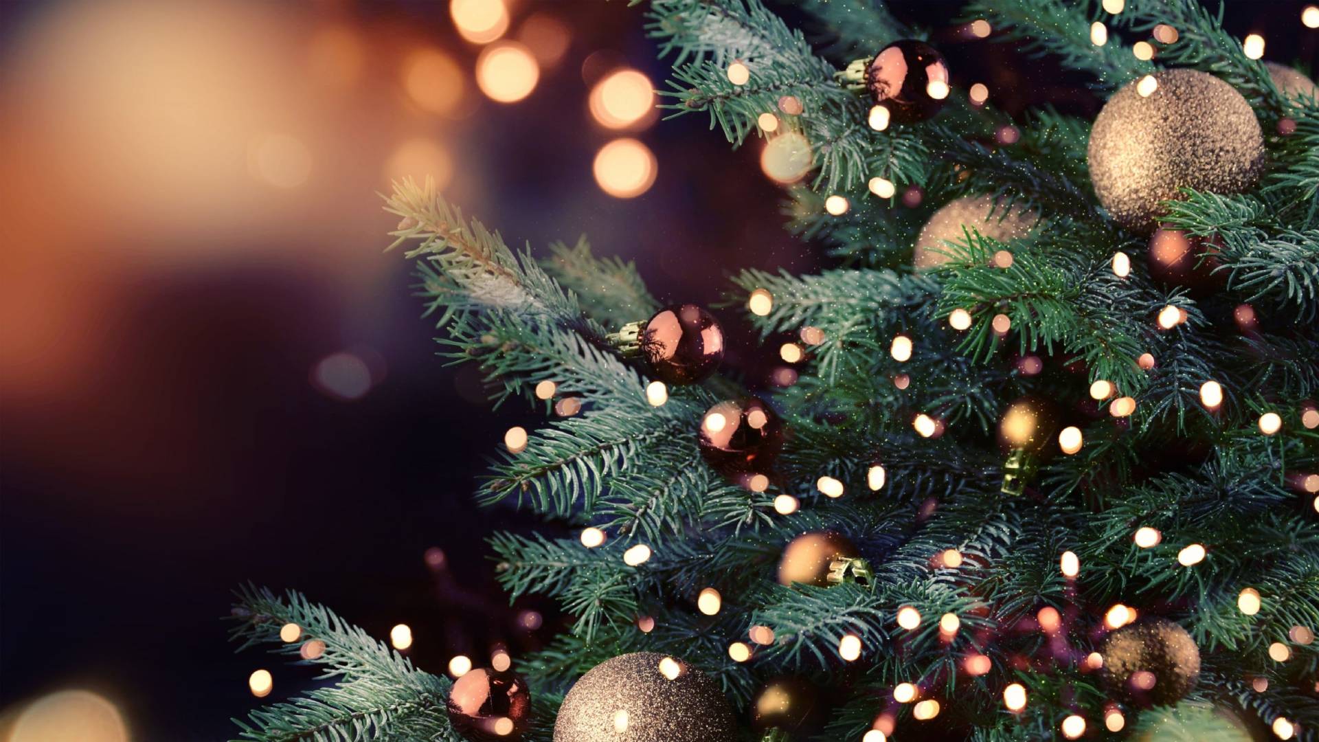 Gros plan sur le sapin de Noël