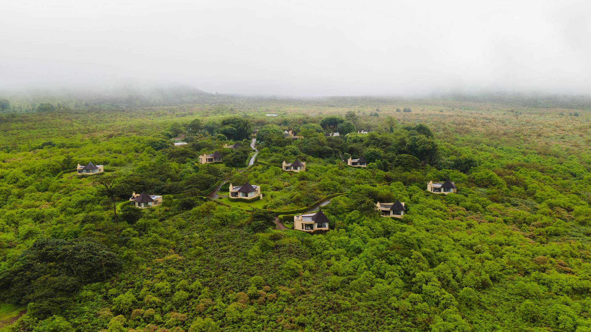 Aerial view of guest villas at Royal Palm Galapagos, Curio Collection by Hilton