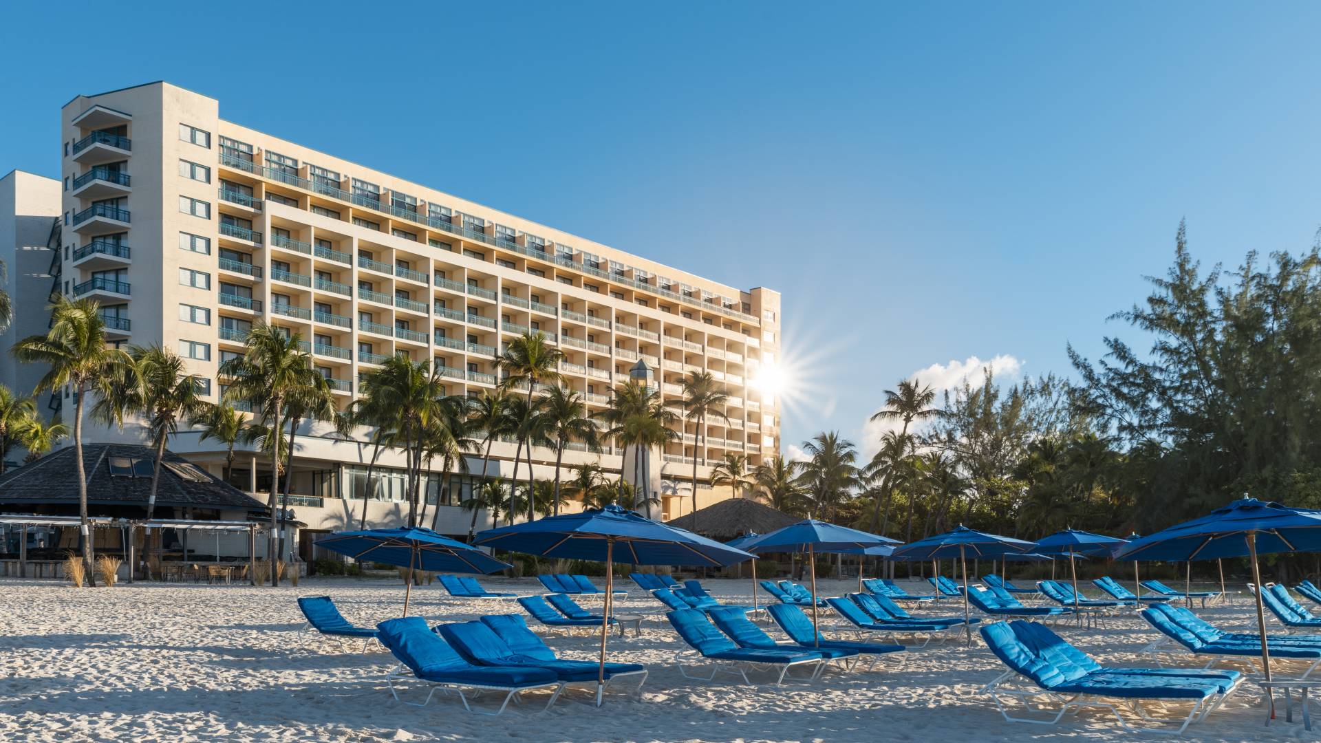 Lounge Chairs at the Beach and View of Hilton Hotel Exterior