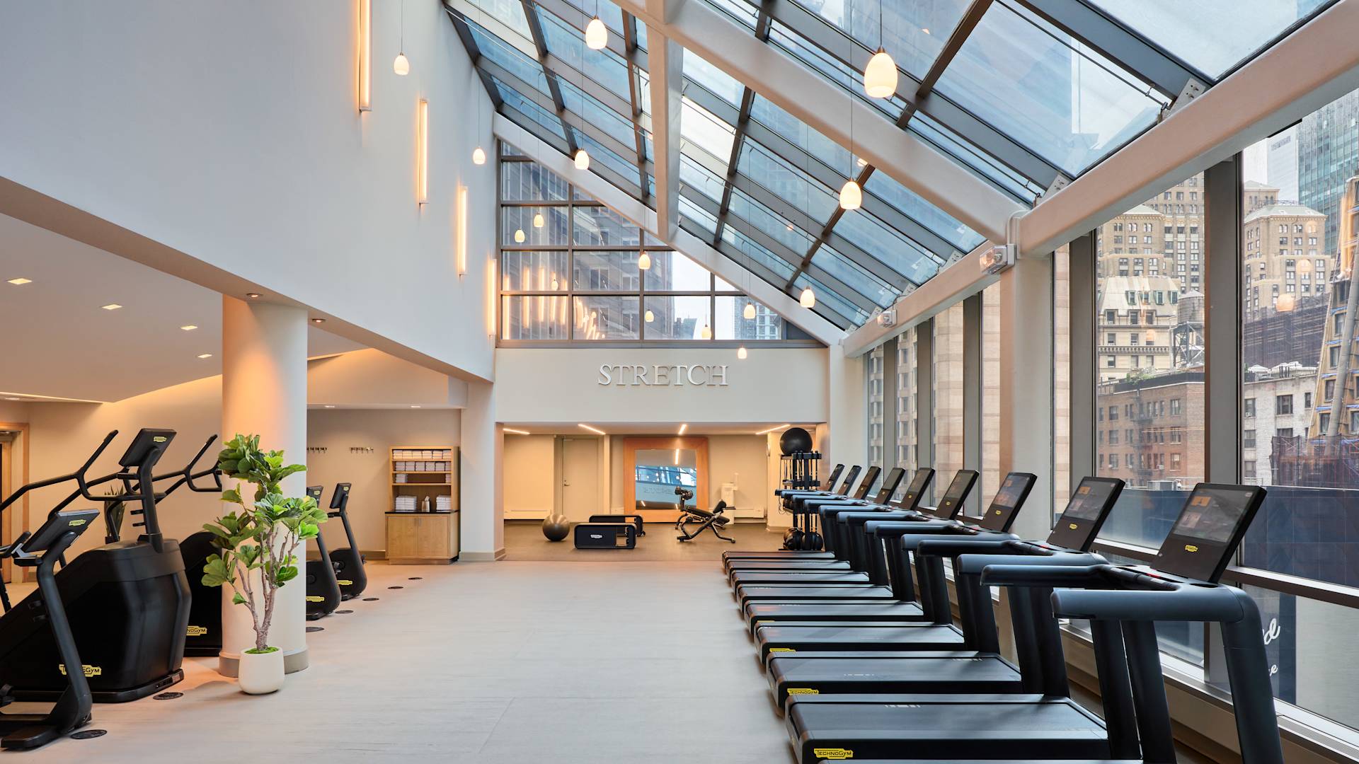 Fitness Center with Treadmills and Elliptical Machines