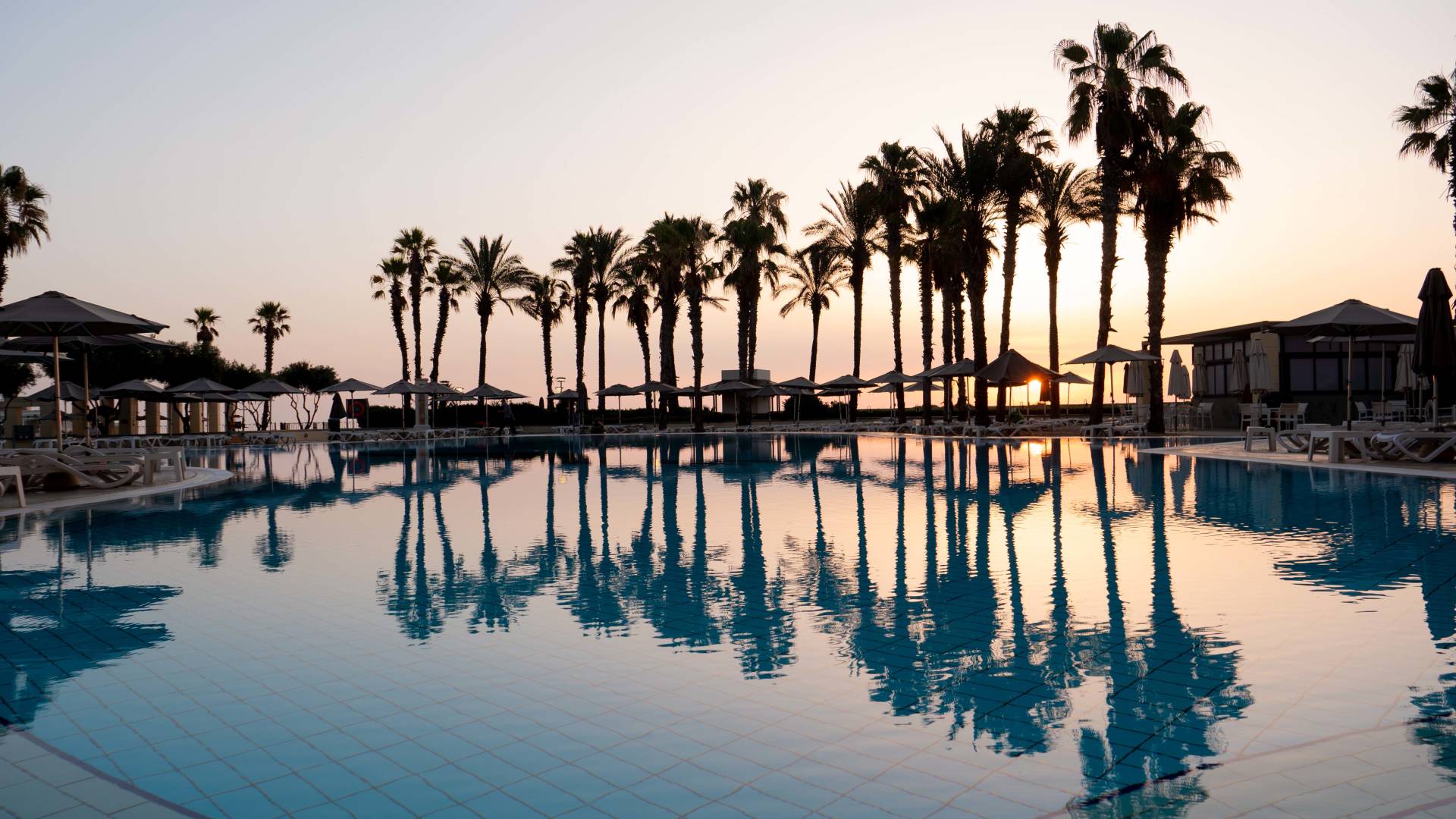 Outdoor pool, sunset with palm trees