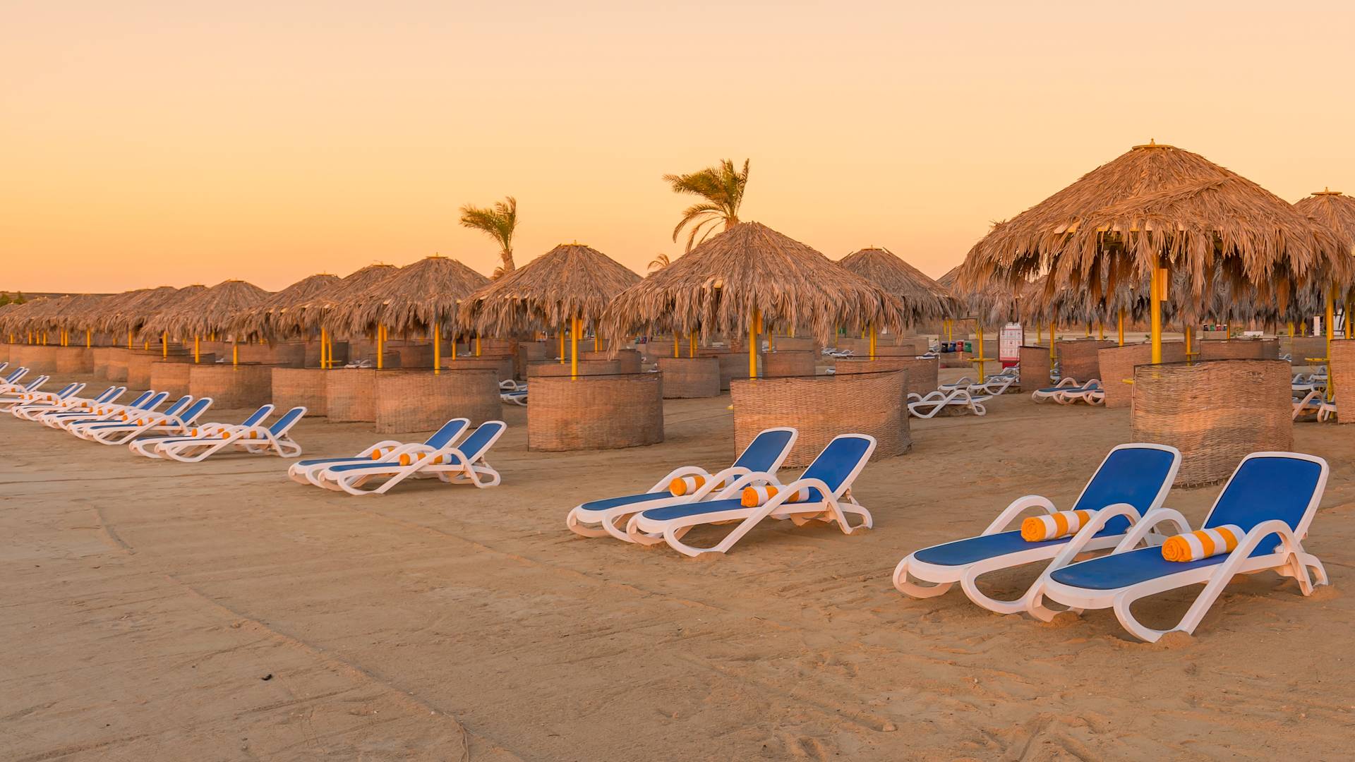 デッキチェアとストローパラソルを備えたビーチエリア