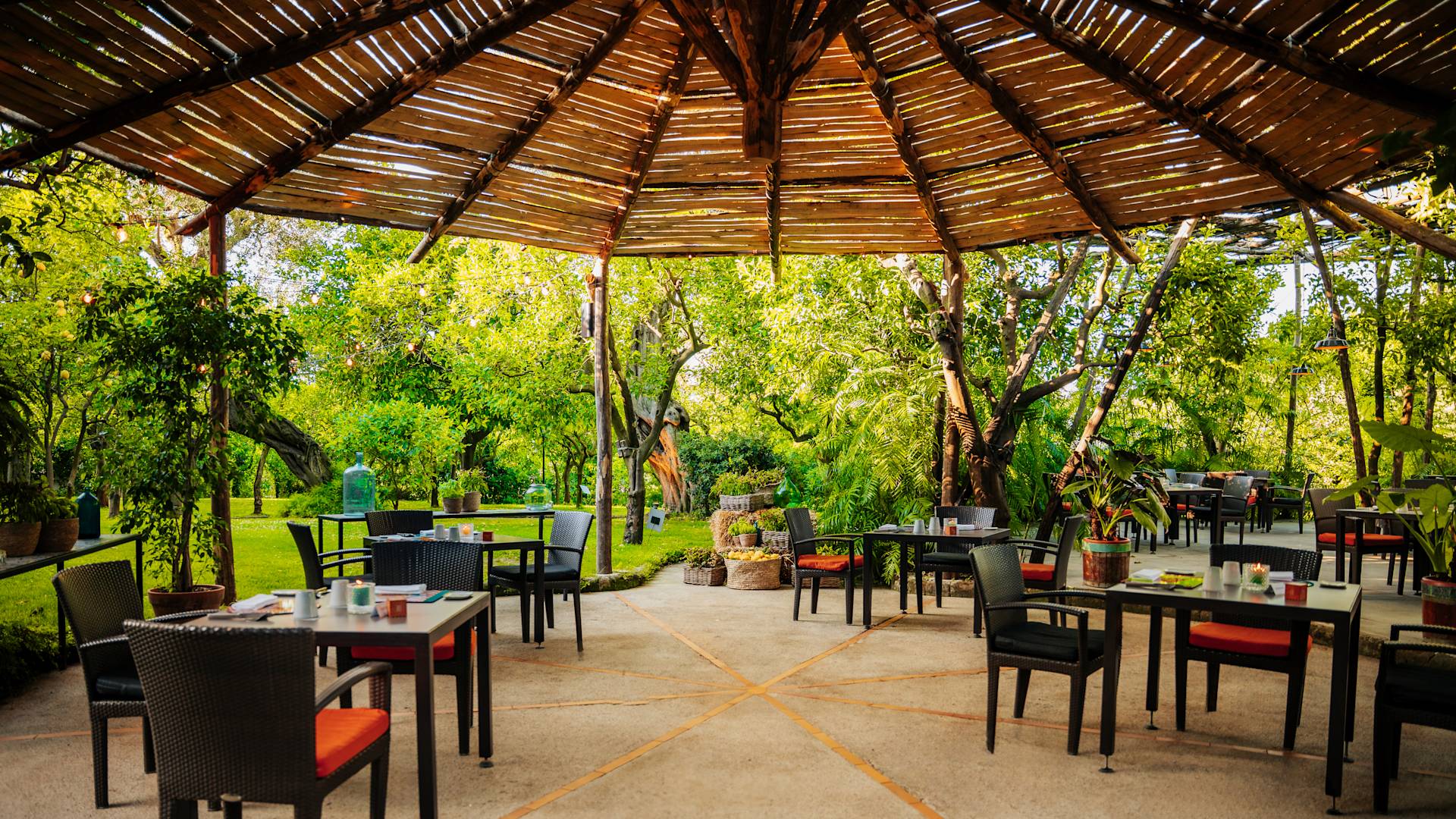 L'Agrumeto barbecue e altro ancora