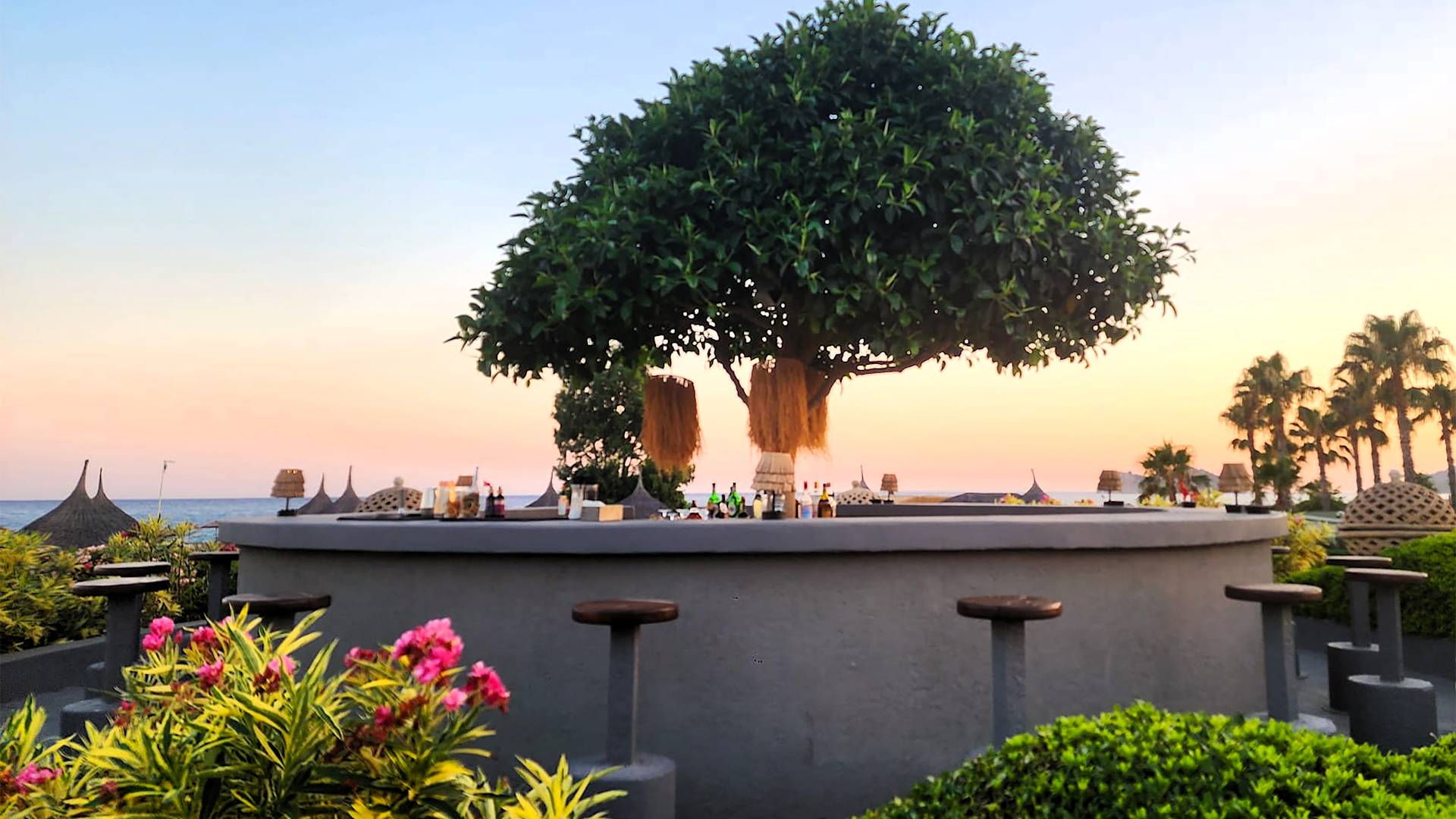 outdoor terrace bar, view of the palm trees and water