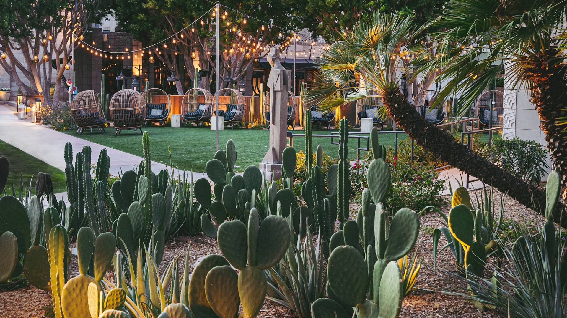 Patio area, with plants in foreground