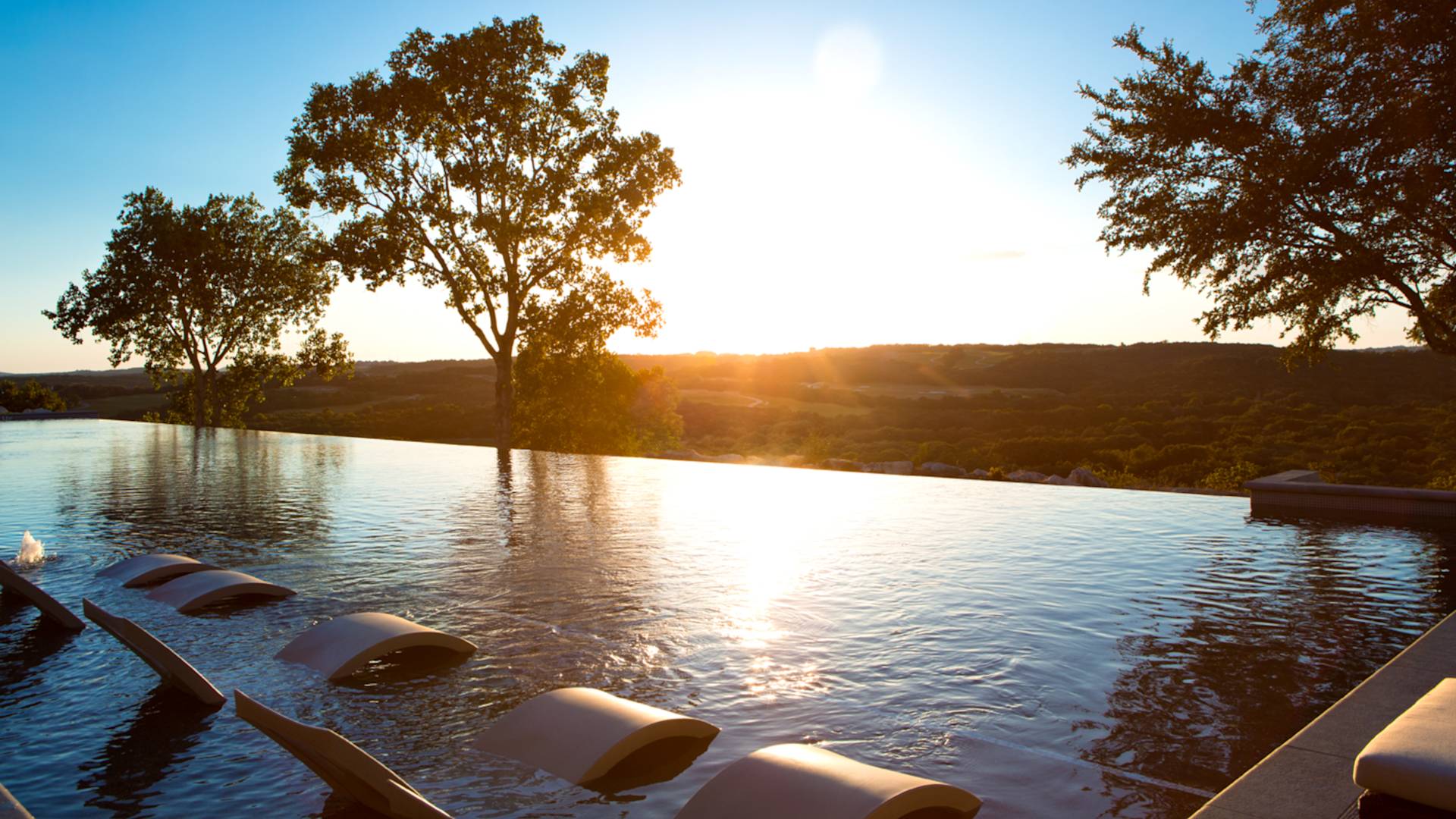 View of outdoor swimming pool with large trees at sunrise
