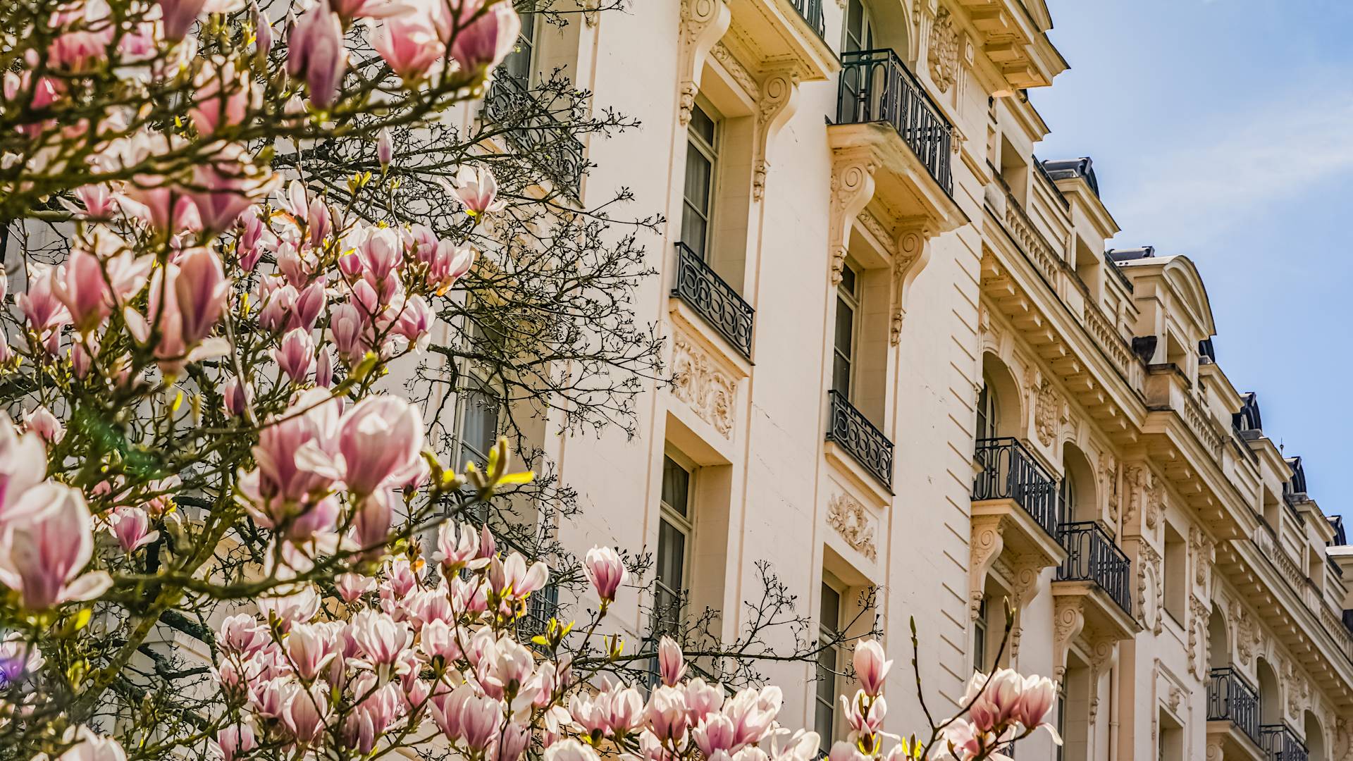 Angle View of Hotel Exterior in the Spring