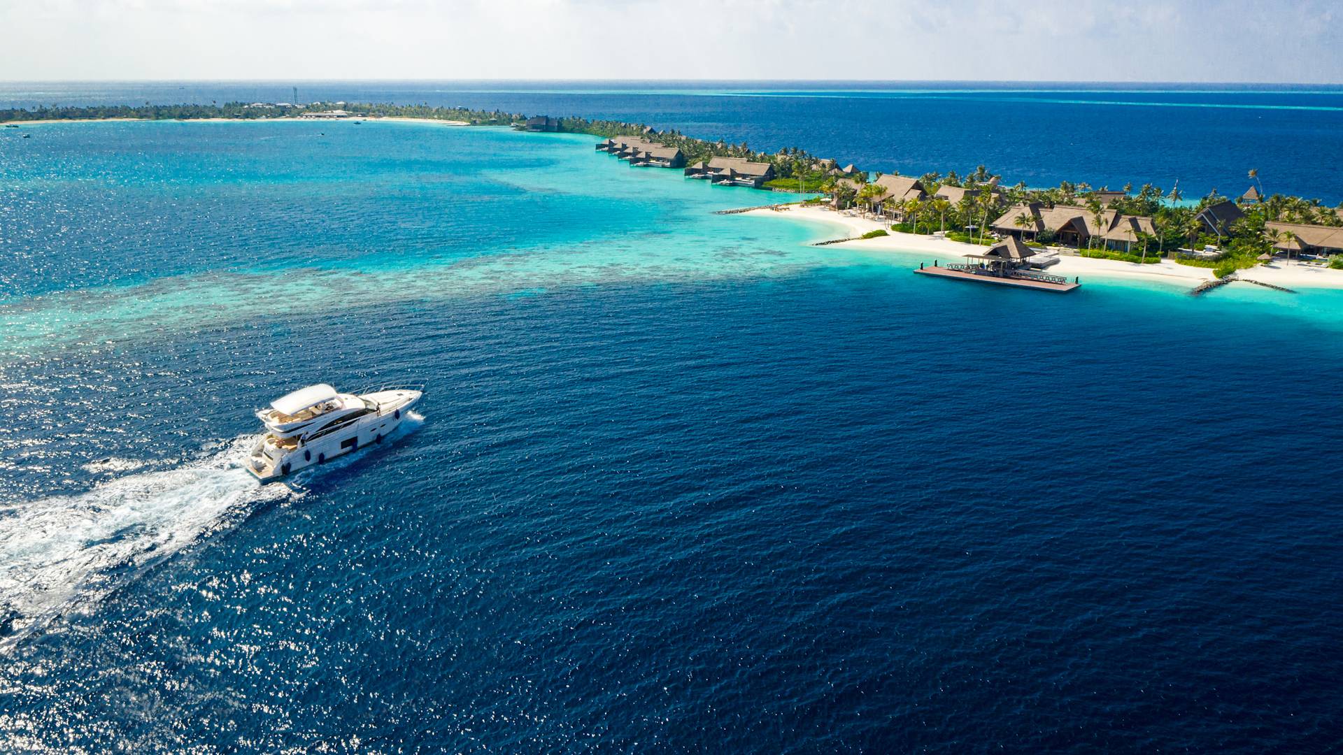 Boar arriving on sea