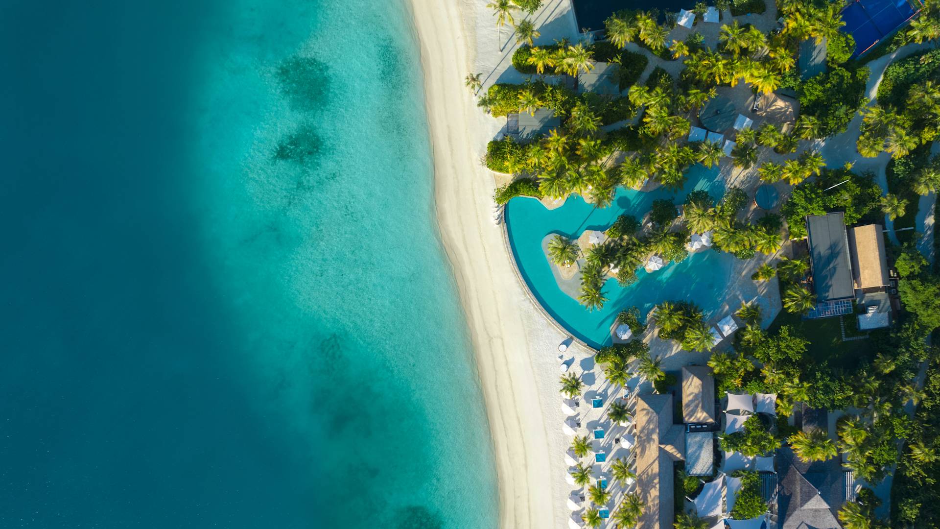Aerial View of Outdoor Pool Area with Palm Trees next to a Beach with Lounge Chairs