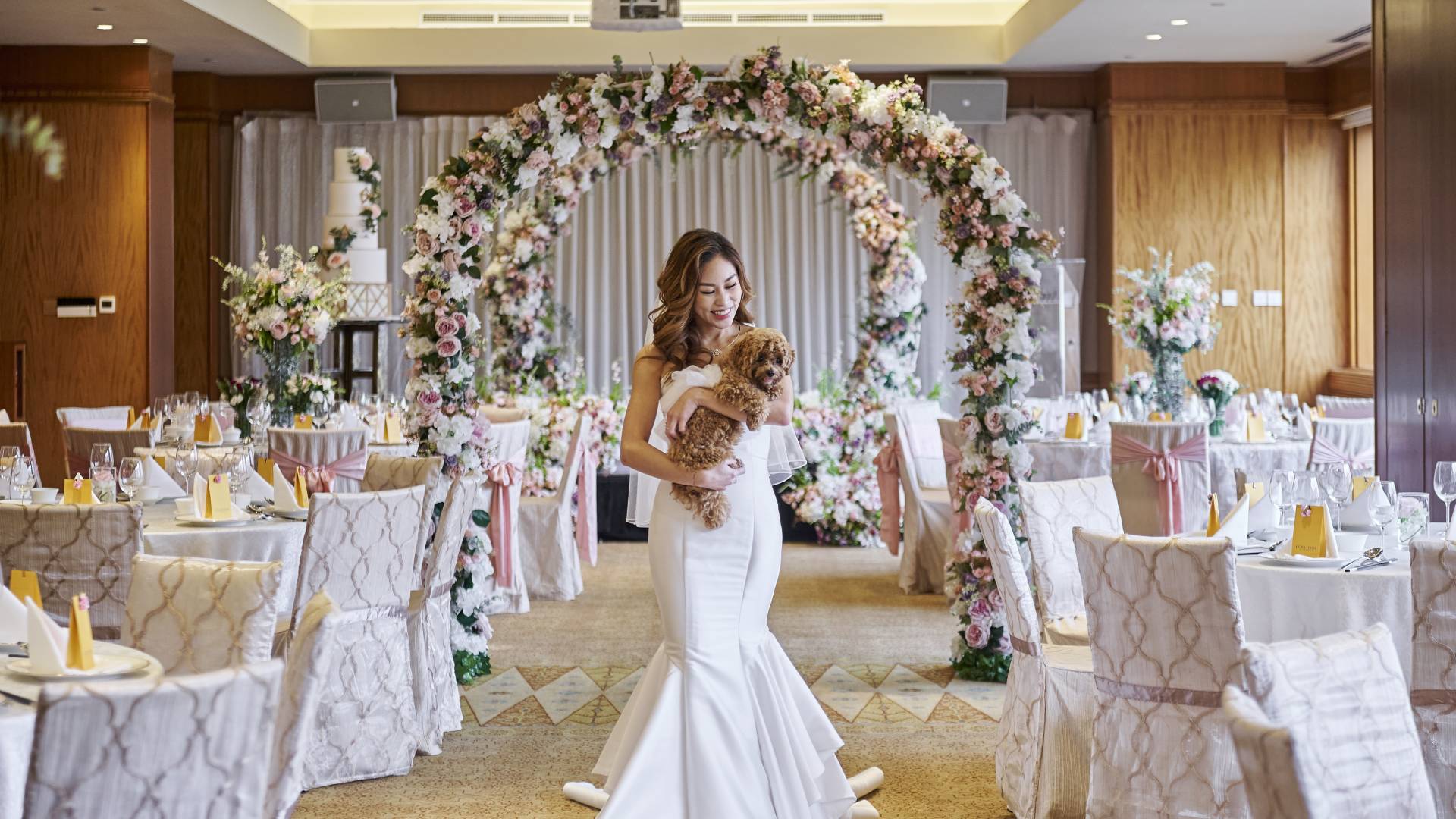 Asian bride in a white wedding dress craddling a small dog in the Tanglin meeting room-transition