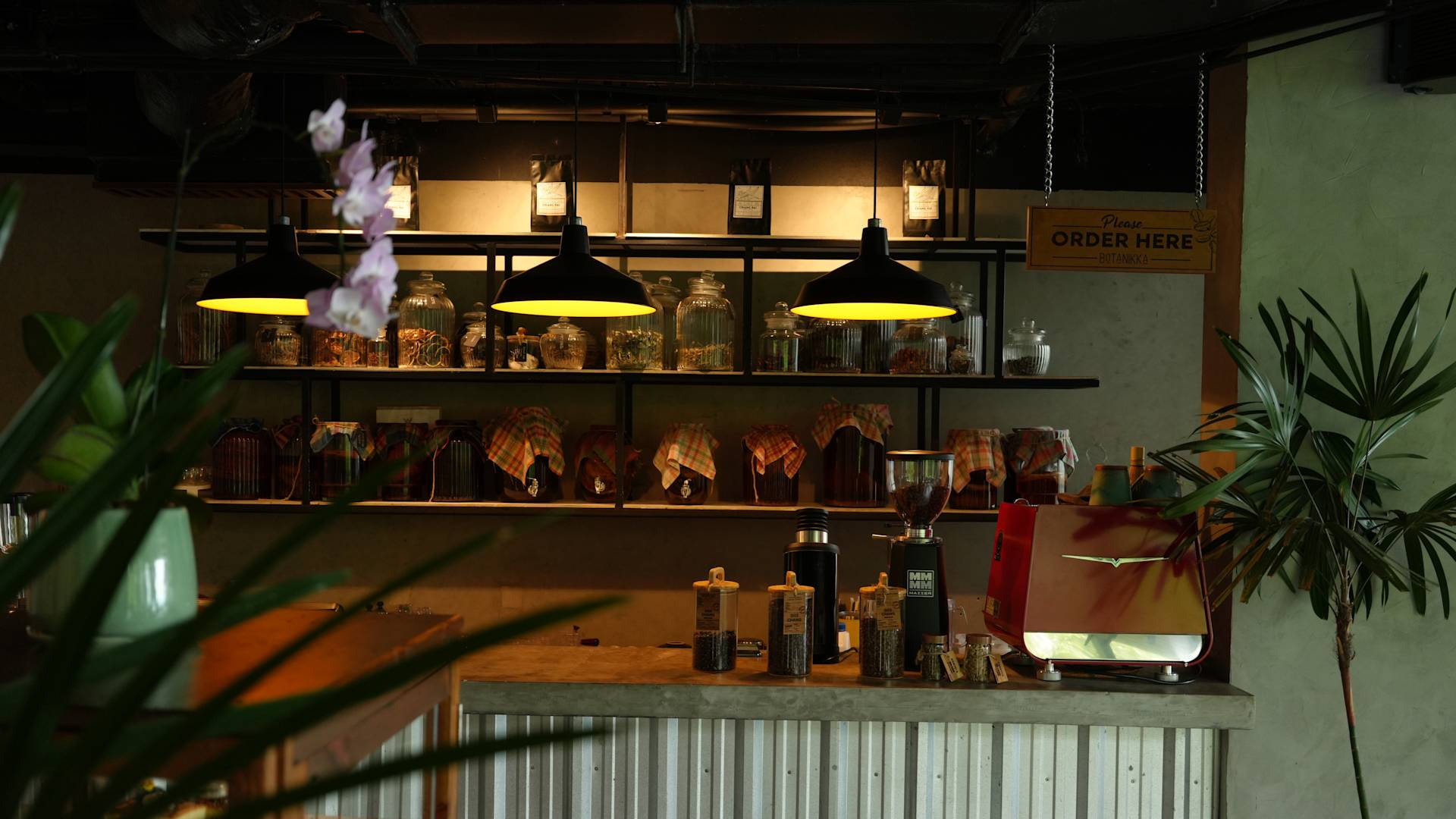 Transition Botanikka