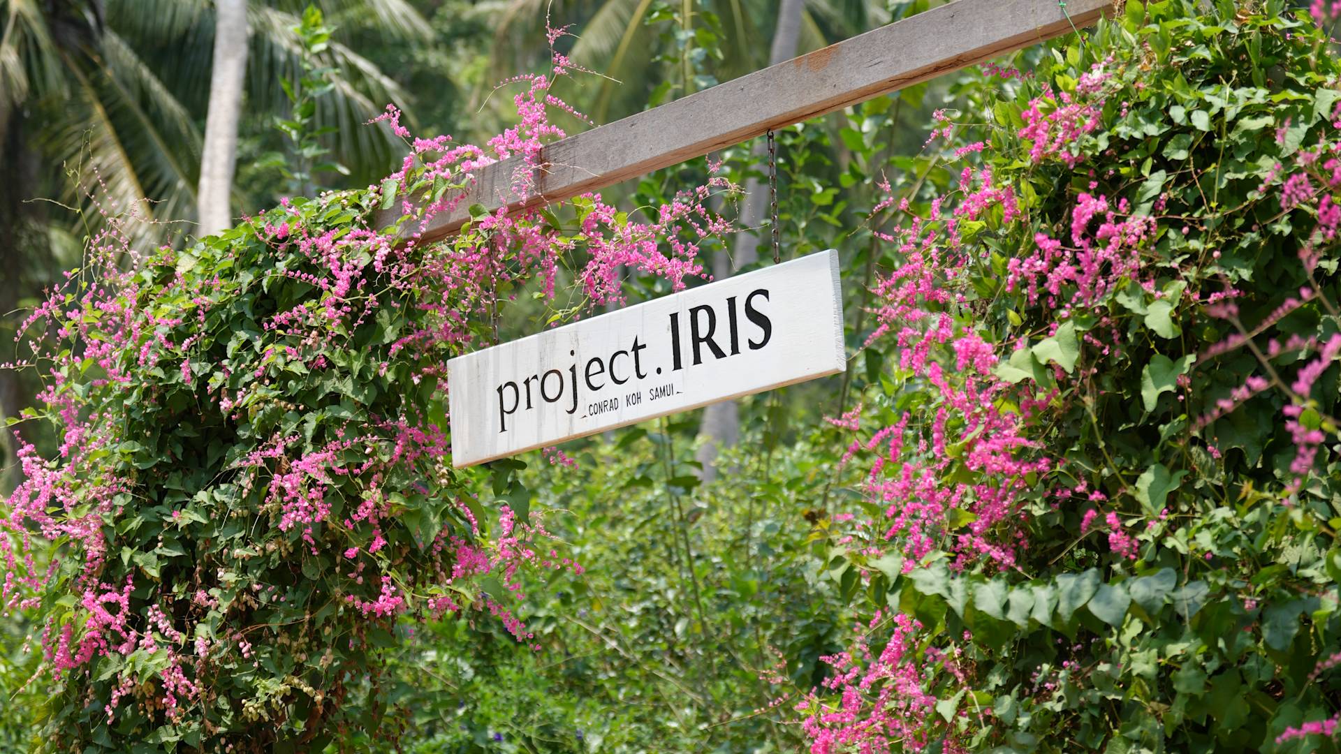 Projekt Iris-Übergang