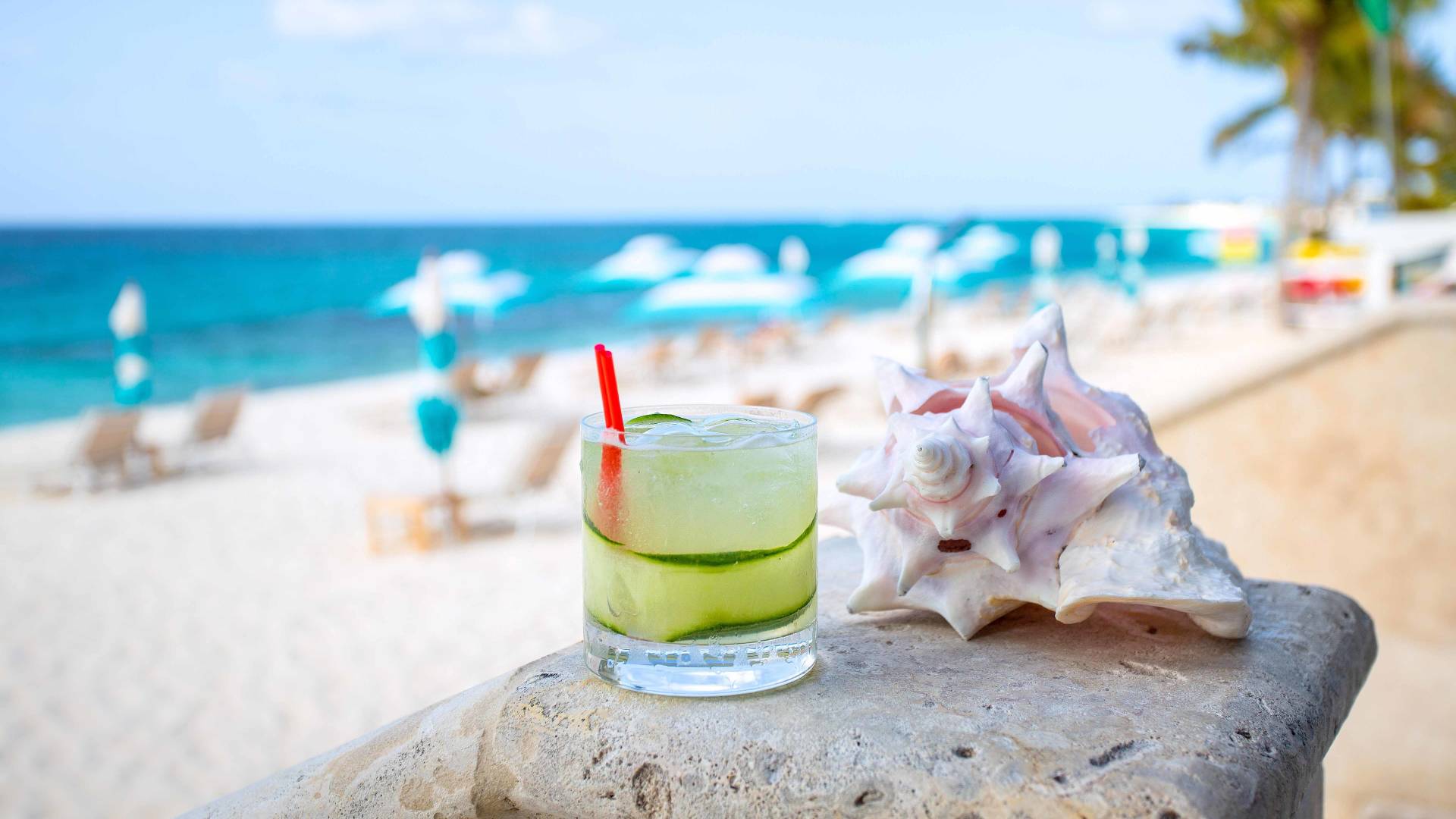 Cocktail mit Muschel am Strand