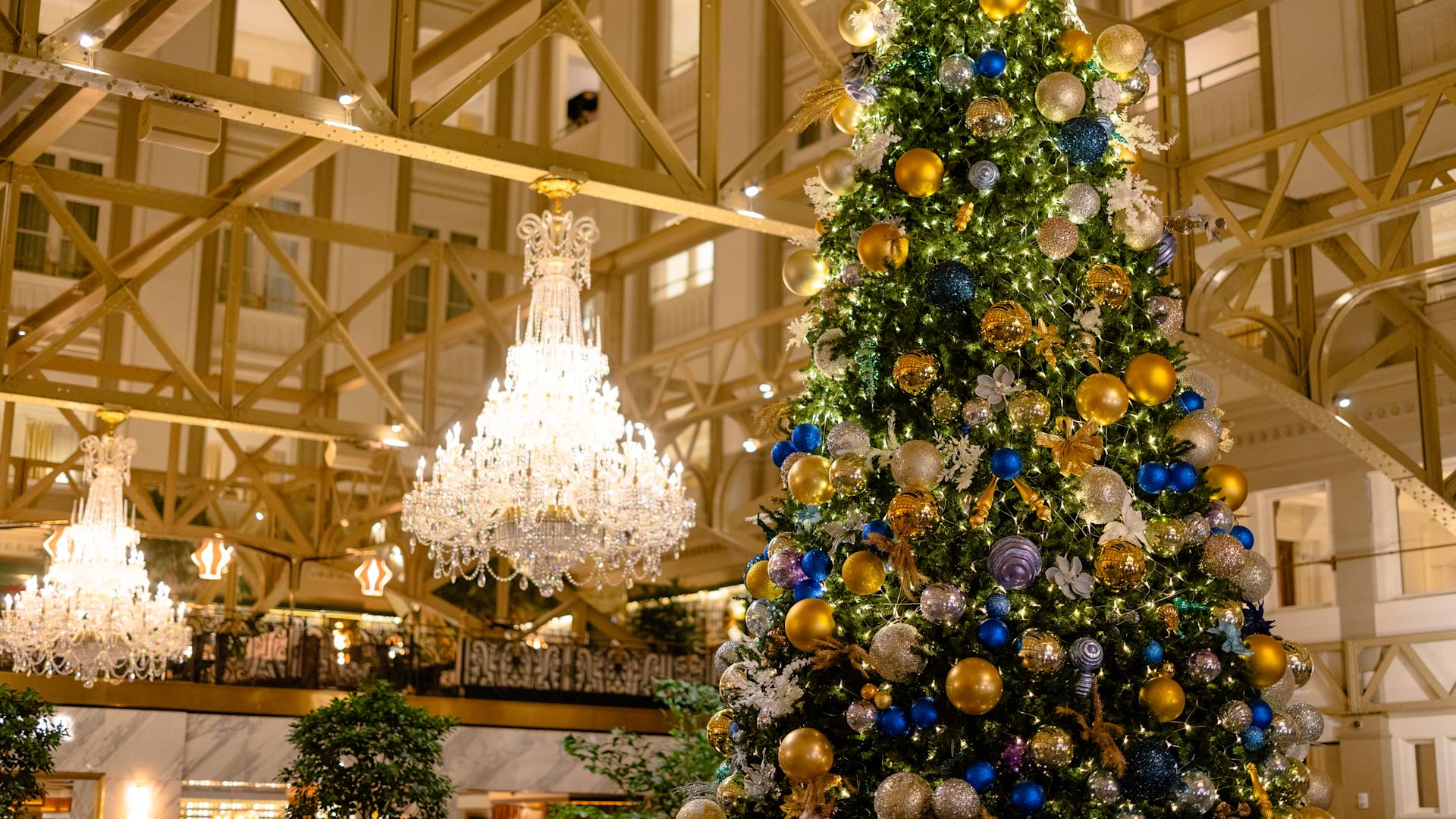 brad de vacanță, candelabru hotel - tranzit