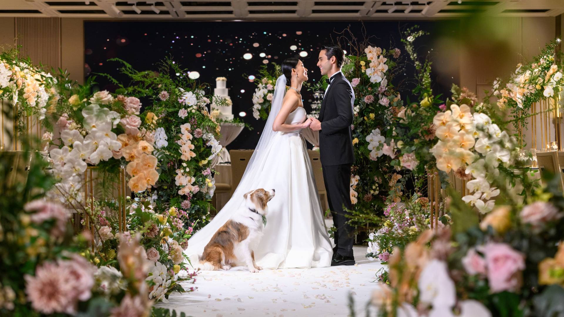 Bride, groom and dog surrounded by flowers-transition