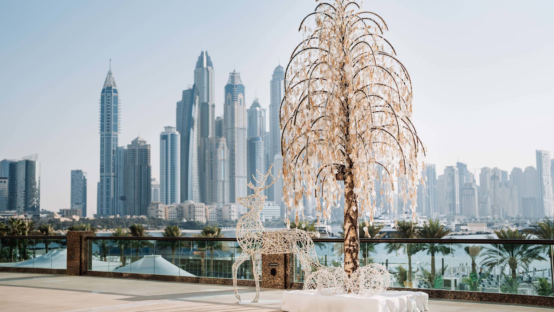 exterior christmas tree-transition