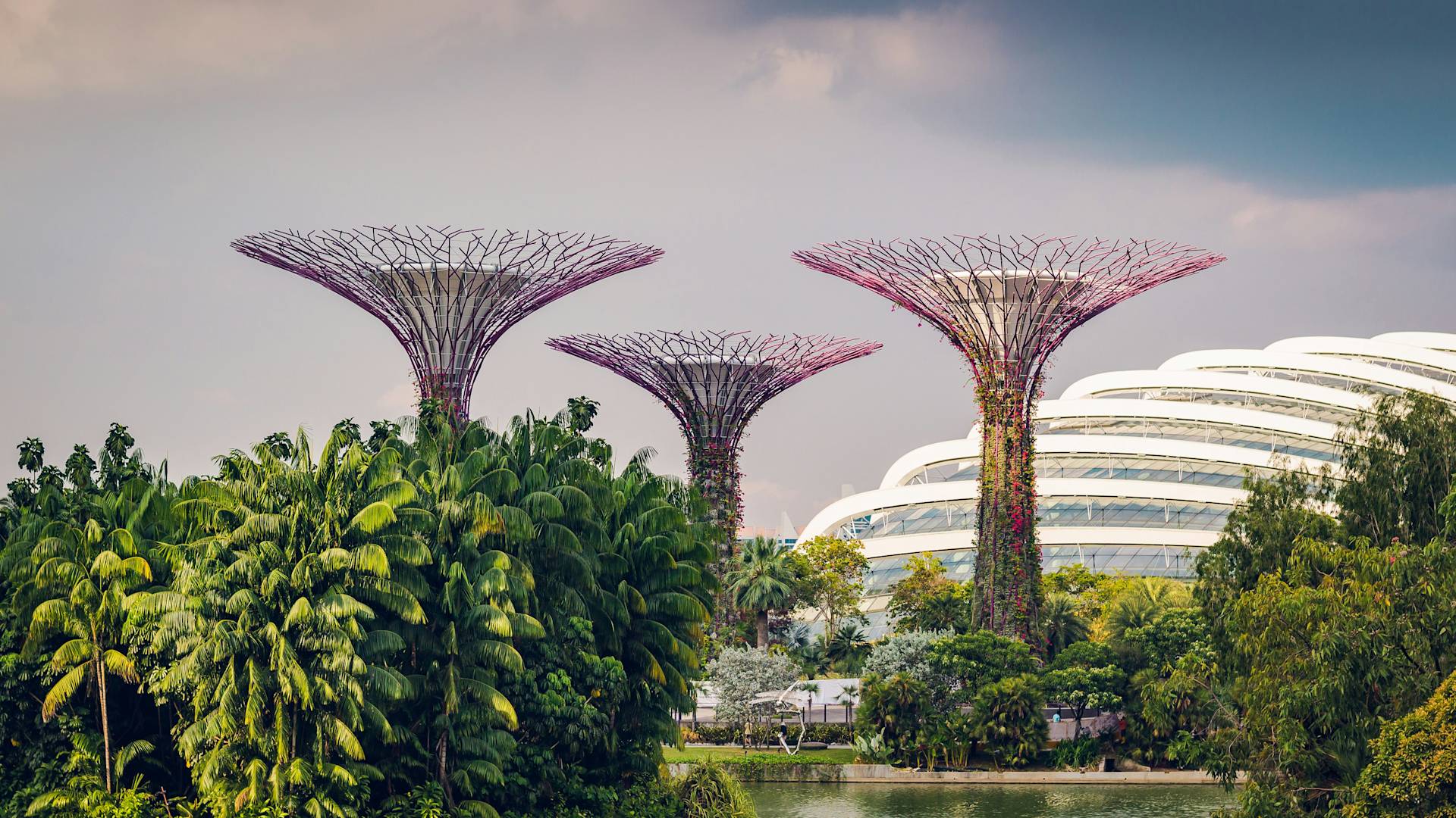 Gardens by The Bay