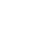 Distintivo AAA de 5 Diamantes
