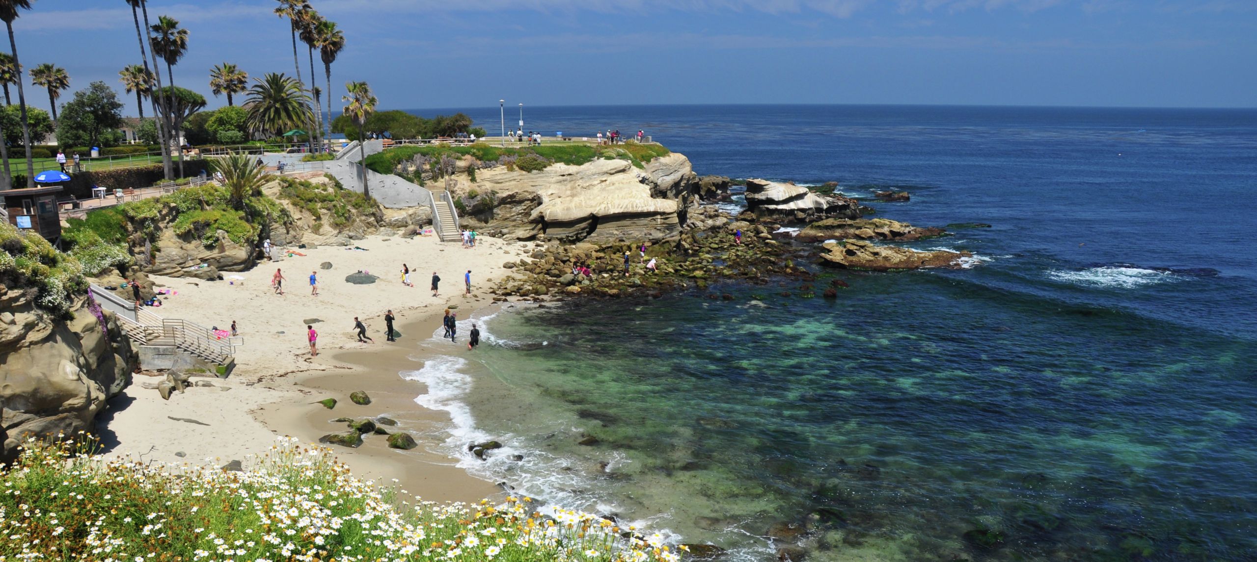 La Jolla Cove