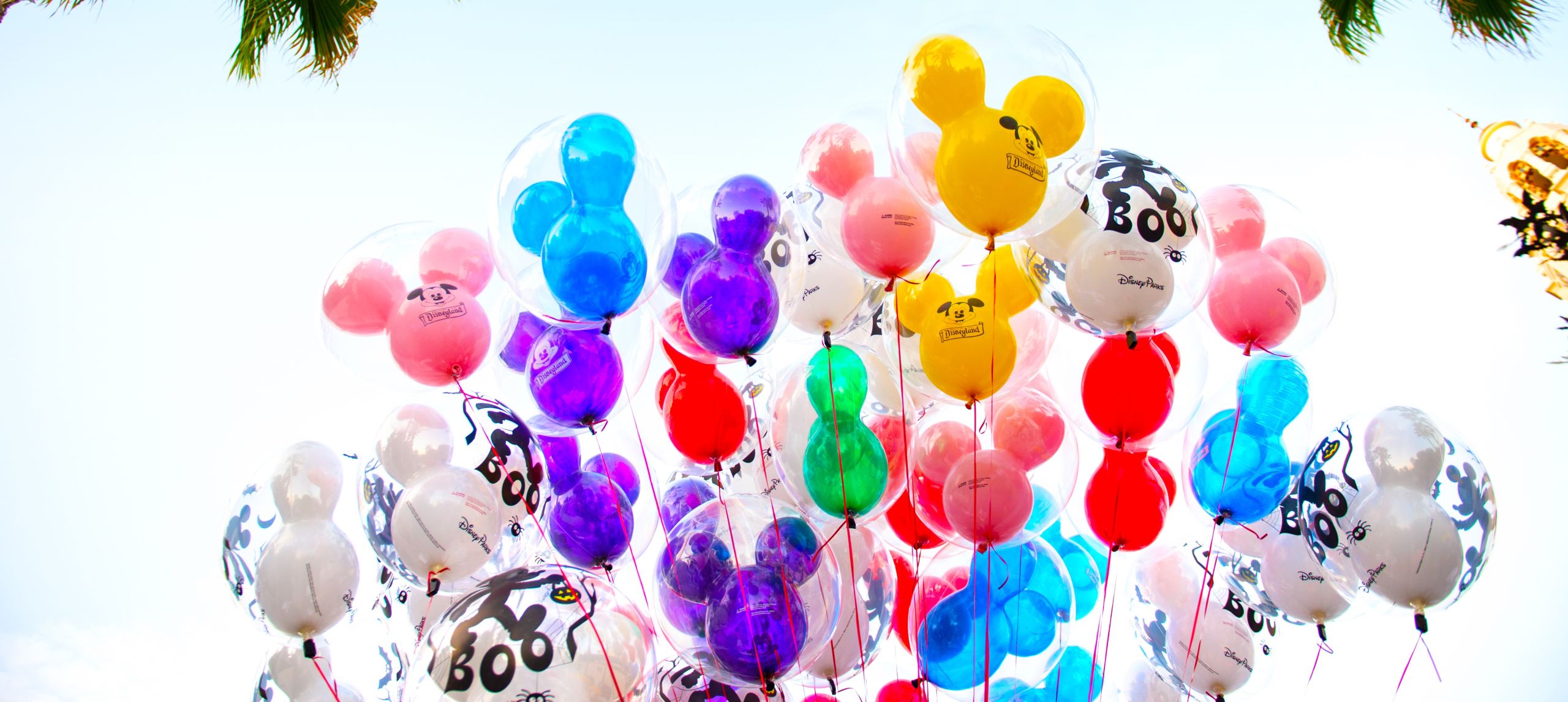Disney Land balloons