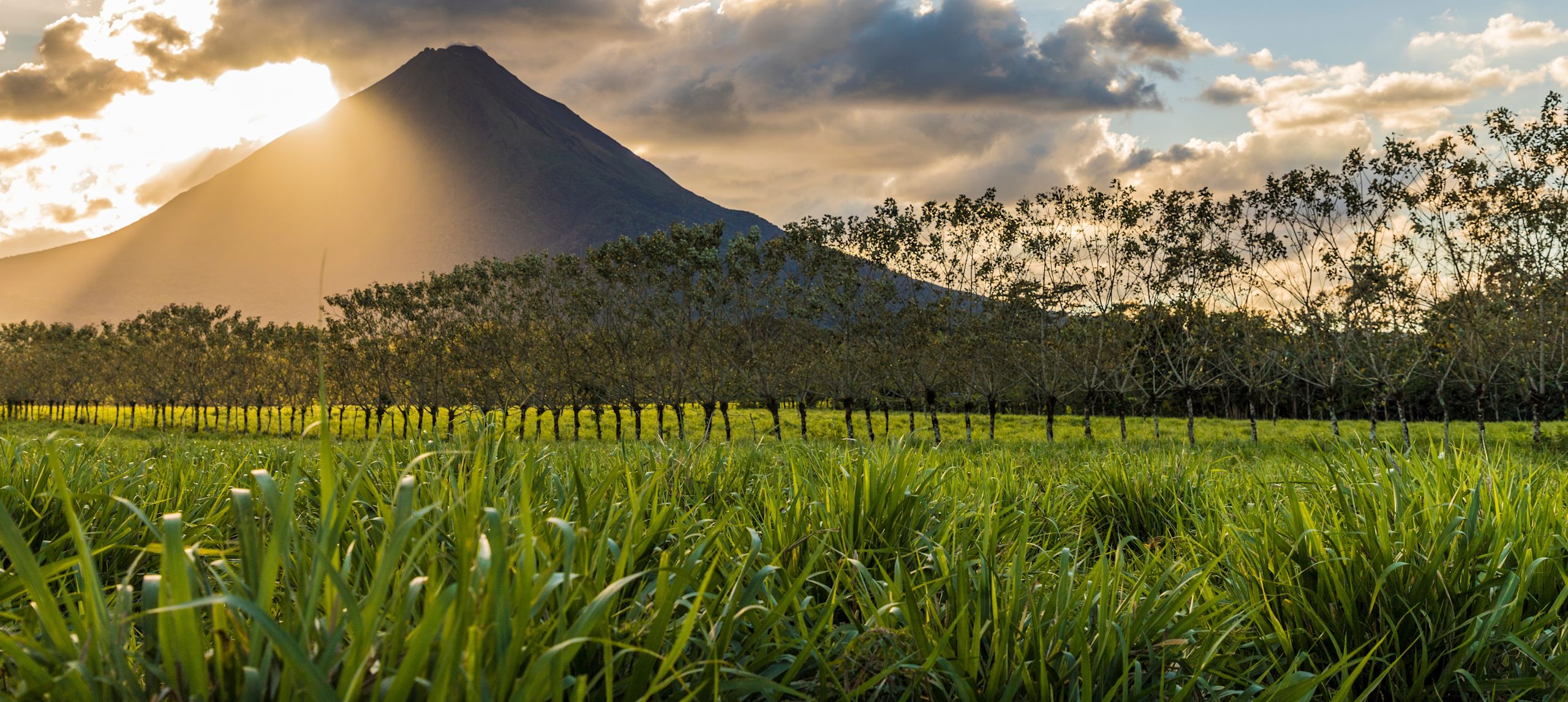 日落時分的綜藝區鳥瞰圖