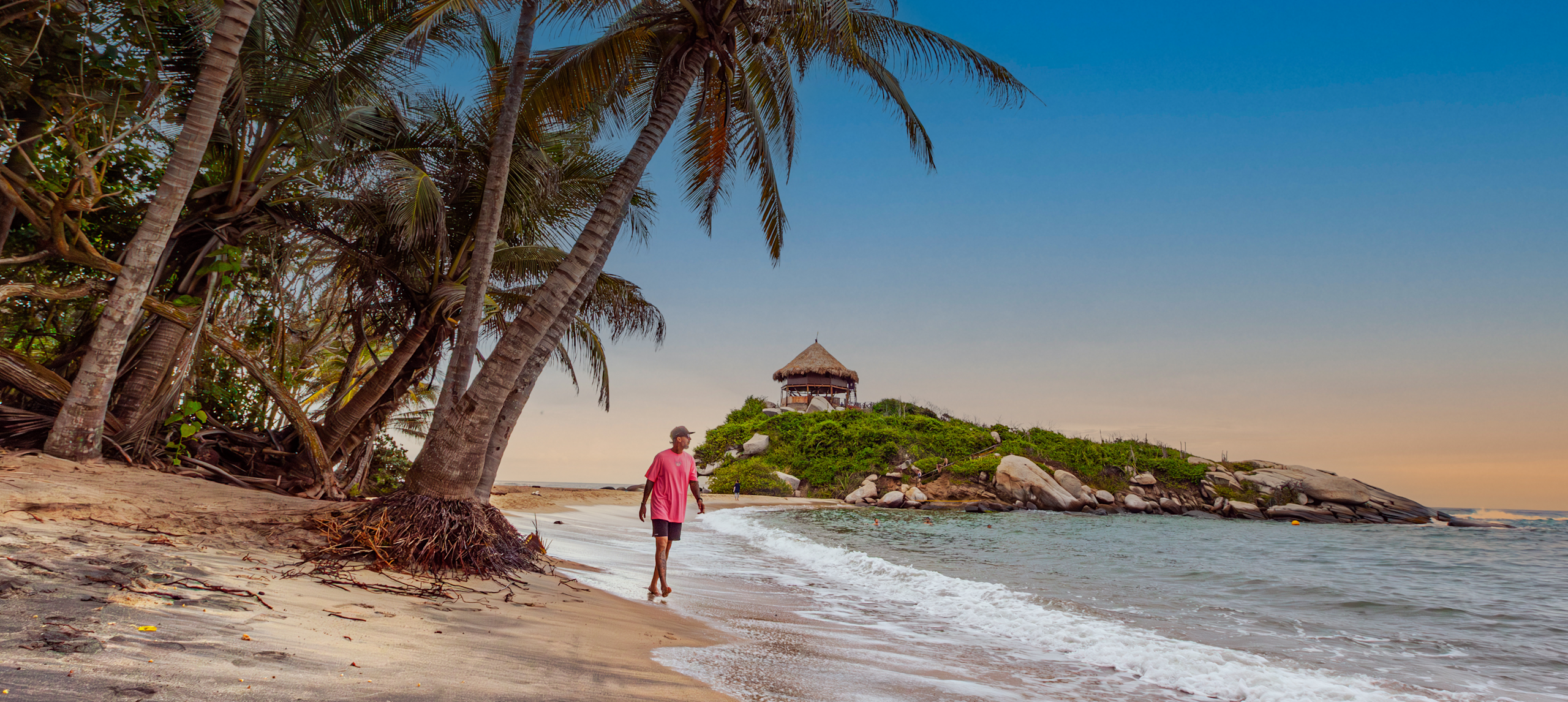 ヤシの木が目の前に広がるビーチを歩く男性