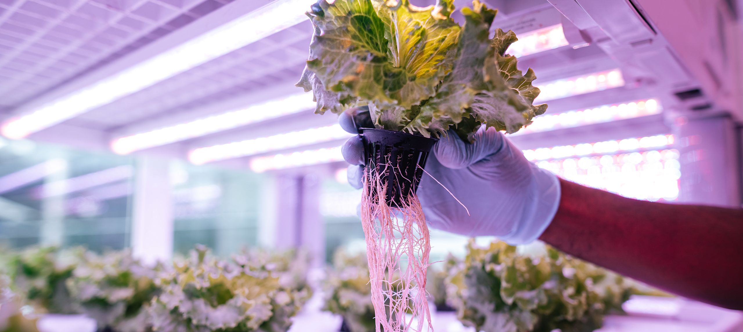 Obrázek udržitelnosti ramadánu s osobou držící květinovou kytici před přípravou akce