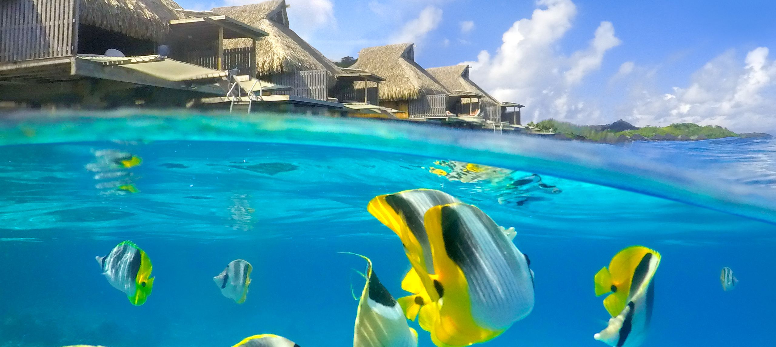 View of Villas and Underwater View with Fish
