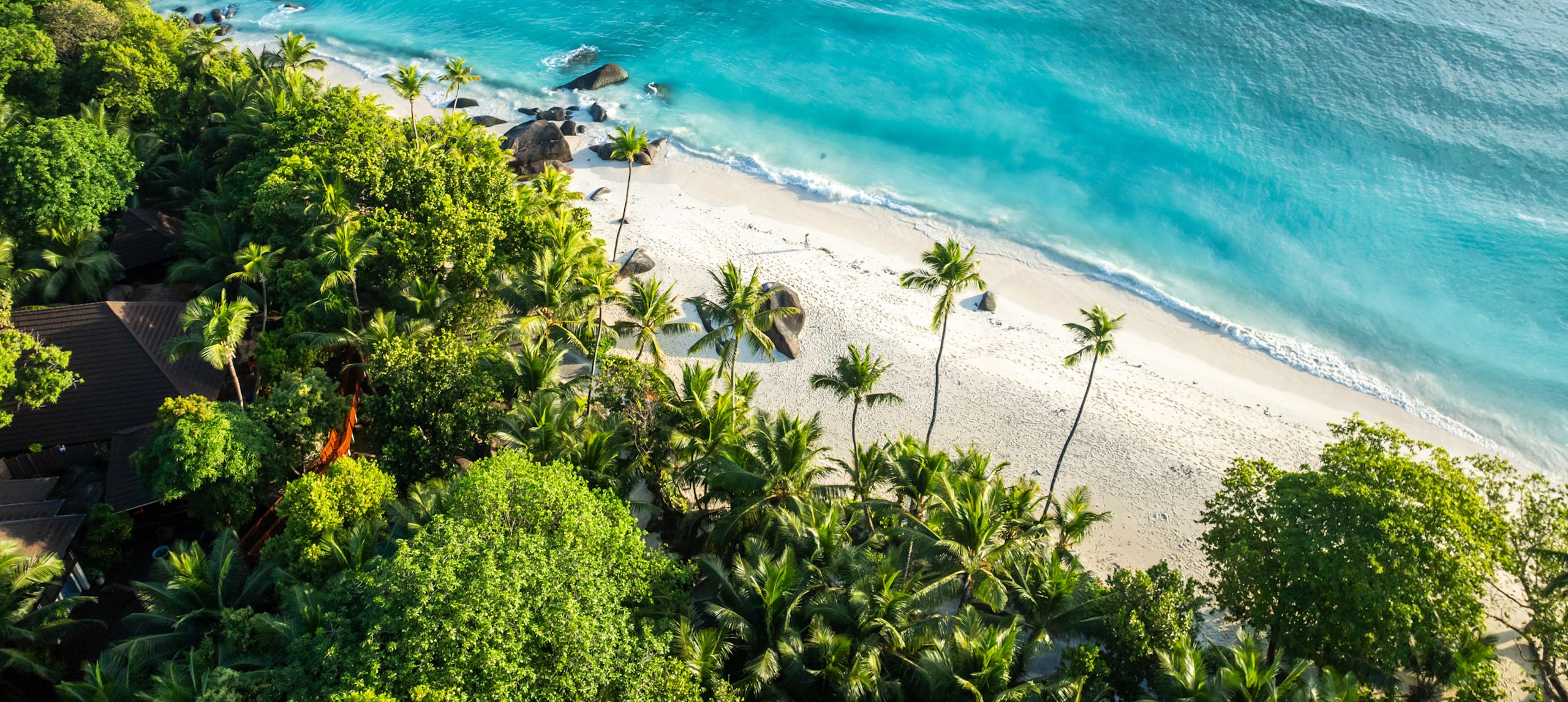 View of a Beach with Palm Trees and other Tropical Vegetation