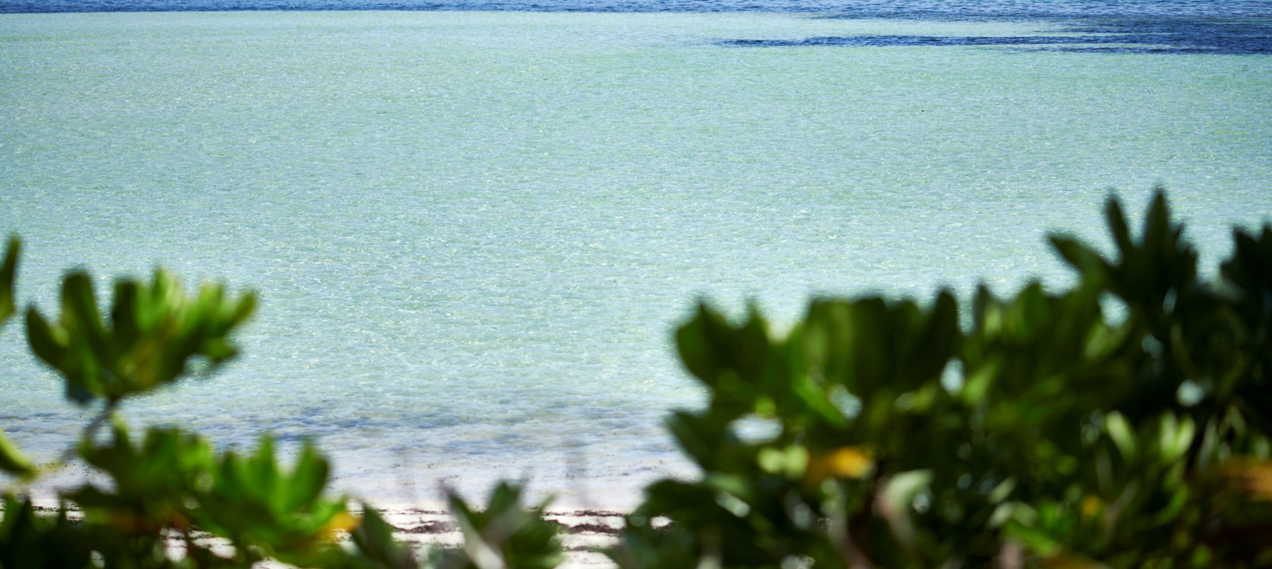 resort beach, light green and blue water, blue sky