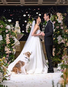 Weddings with Dog