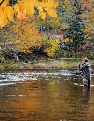 Man Enjoying Fly Fishing in the Fall