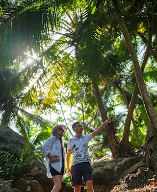 Couple Walking amid Palm Trees in a Tropical Paradise