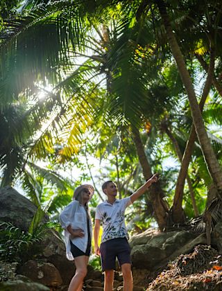 Couple Walking amid Palm Trees in a Tropical Paradise