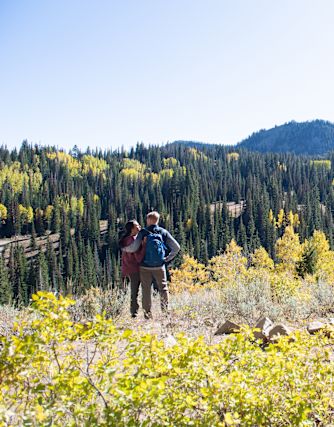Couple Standing on a Walking Trail Enjoying the View of Trees on a Mountain