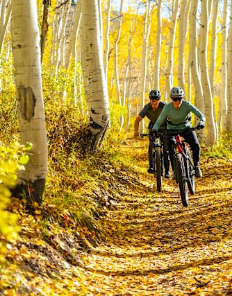 Two mountain bikers ride on a winding trail, surrounded by a vibrant autumnal landscape of yellow leaves and trees