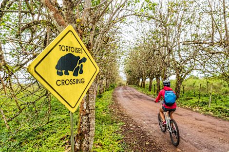 A person biking near a 'Tortoise Crossing' sign