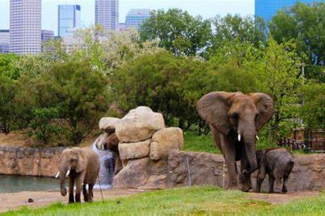Indianapolis Zoo