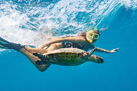 Person snorkeling with a sea turtle