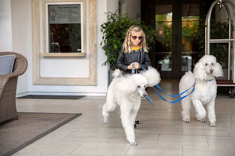 guest with her dogs in the hotel lobby