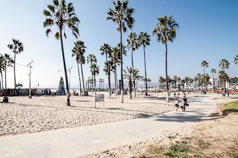 Shot of beach and palm trees