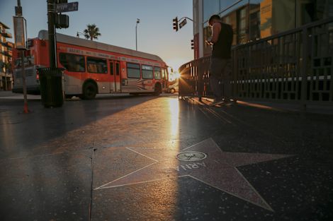 Shot of star on Hollywood walk of fame at sunset