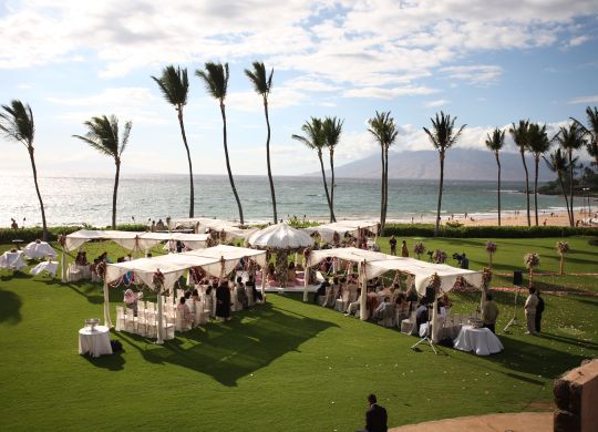 Garden Wedding