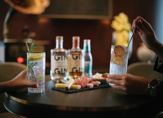 Gin Tonic
