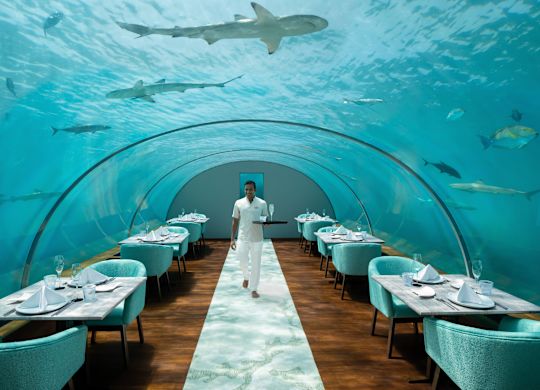 Ithaa Undersea Restaurant