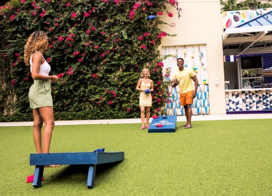 en grupp människor som spelar spel på gården