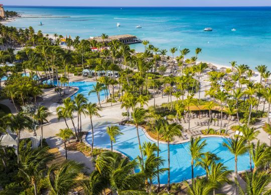 A birds eye view of the palm tree-lined pool area at Hilton Aruba with the blue-green ocean in the background.