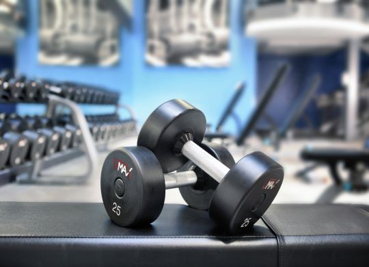 Gym Weights