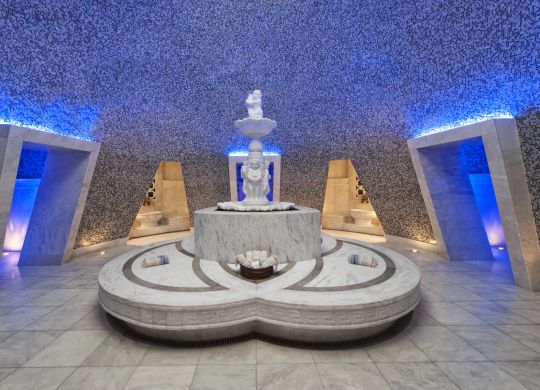 ターキッシュバス